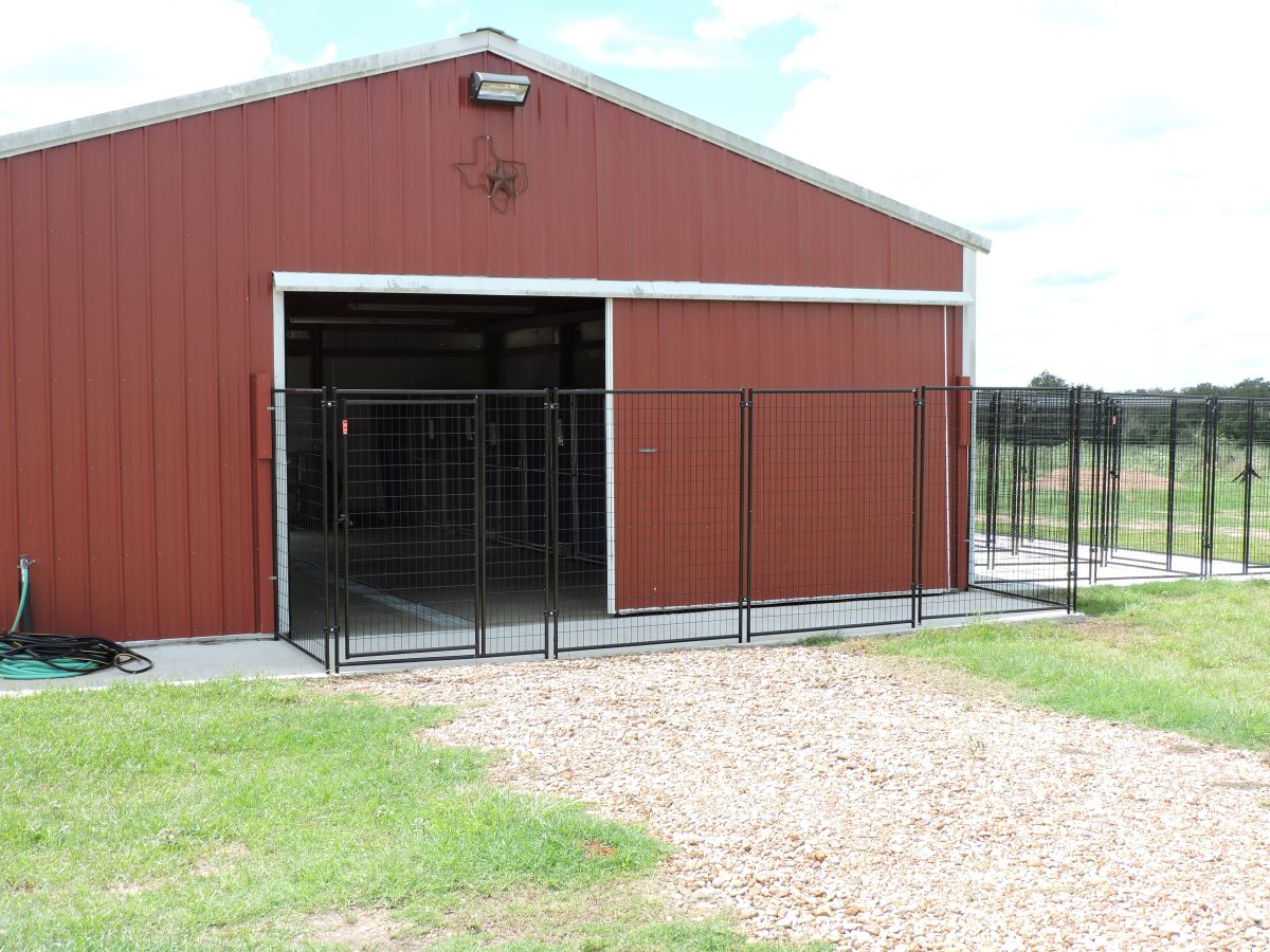 Dog-Training-and-Boarding-001
