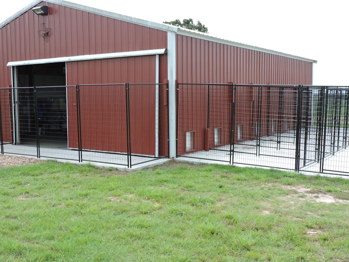 Dog-Training-and-Boarding-002