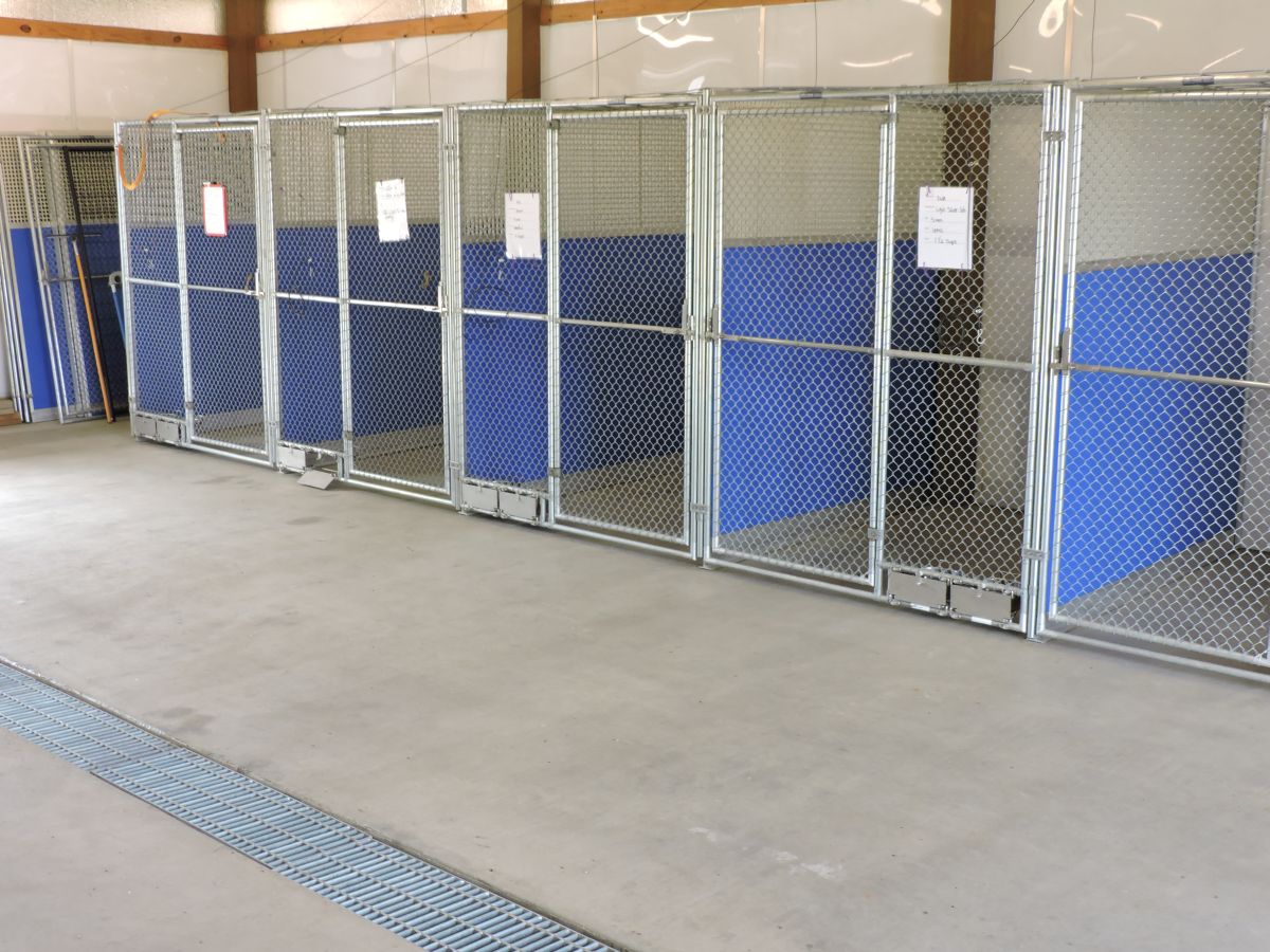 Dog-Training-and-Boarding-003
