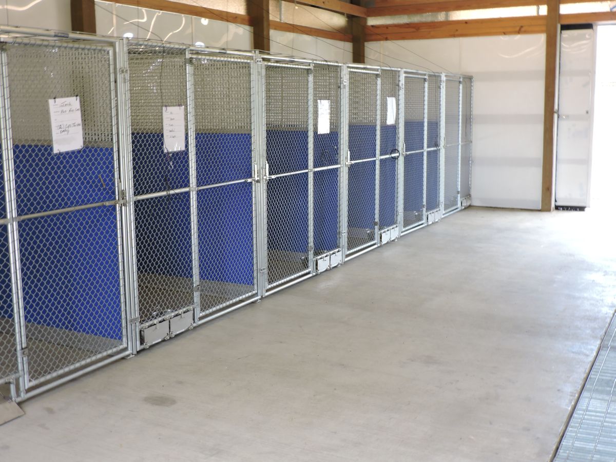 Dog-Training-and-Boarding-005