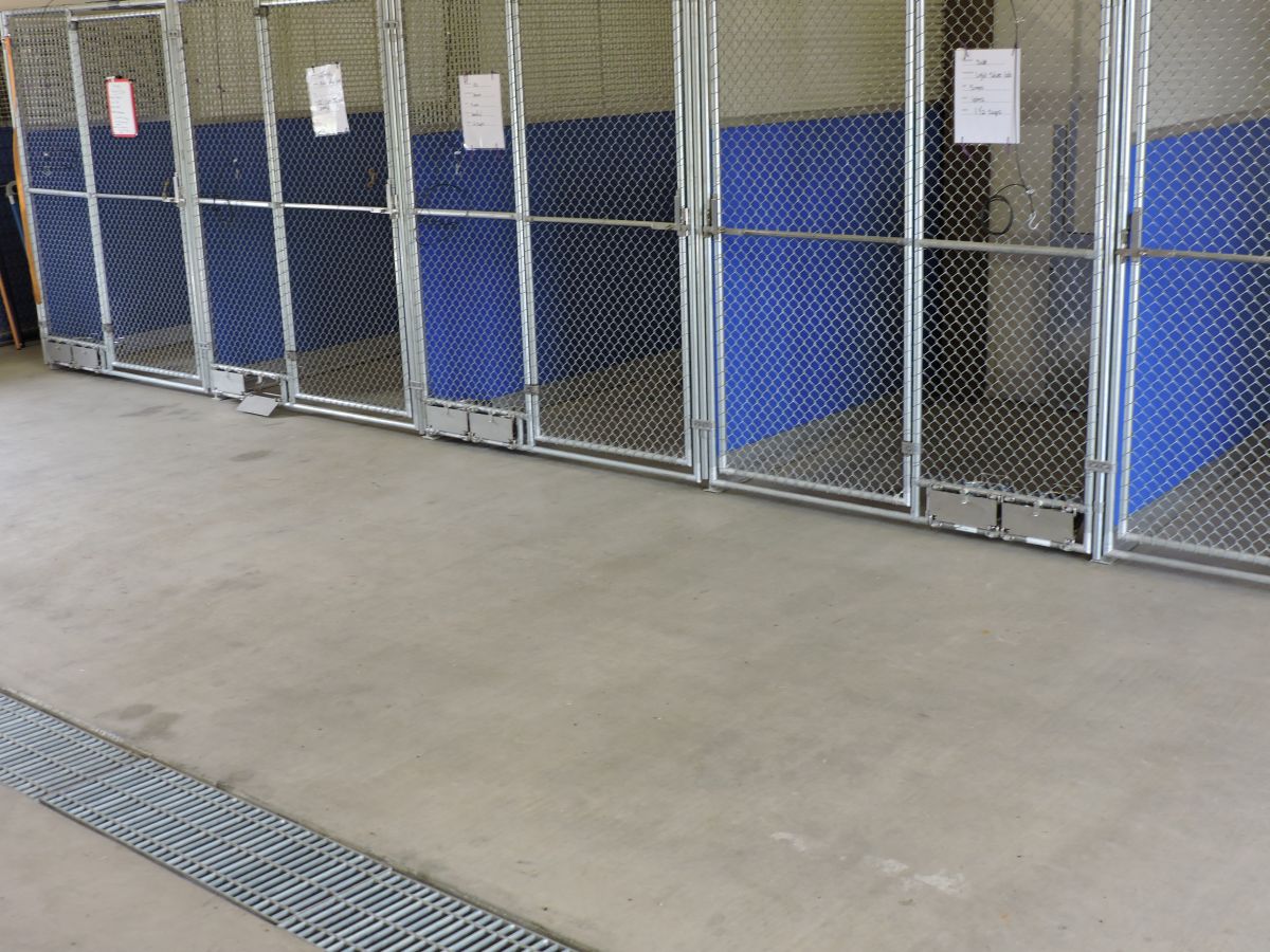 Dog-Training-and-Boarding-006
